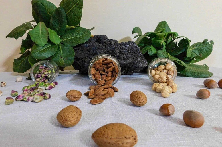 pistacchio-mandorle-nocciole-bronte-frutta-secca-exedis (1)