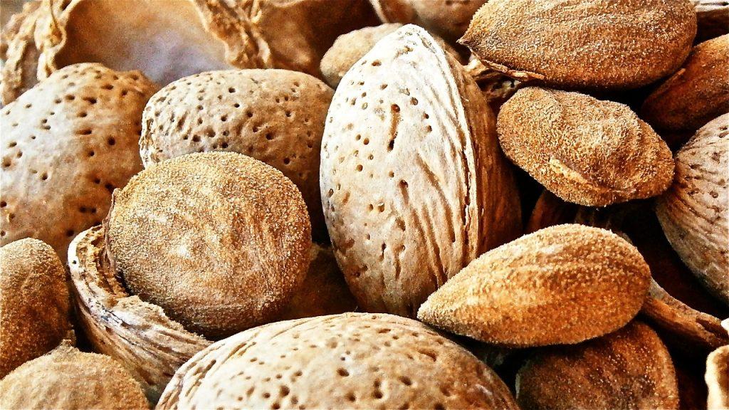 fruit, dried, almond-204613.jpg
