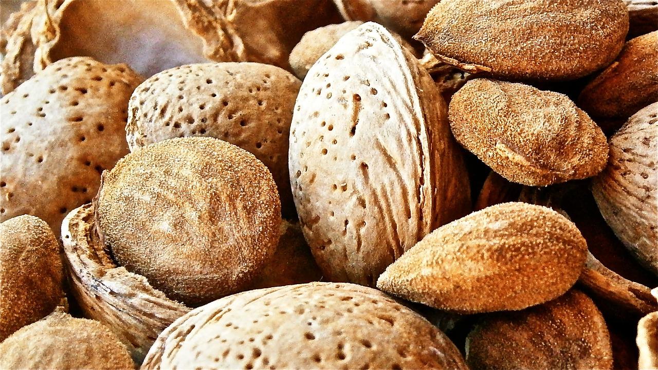 fruit, dried, almond-204613.jpg